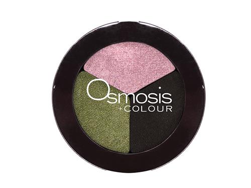 Eye Shadow Trio - Pearl Skin Studio